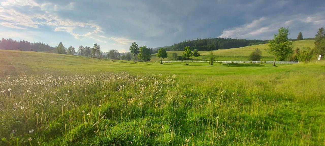 Gasthof Lafette Hinterzarten Exteriör bild